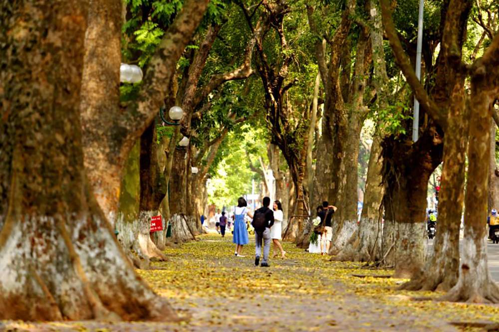 Kinh nghiệm du lịch Hà Nội mùa thu đẹp đến nao lòng 3