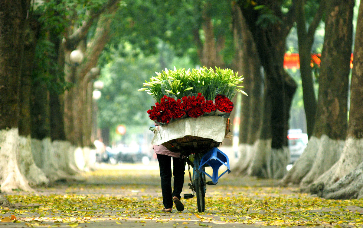 Kinh nghiệm du lịch Hà Nội mùa thu đẹp đến nao lòng 12